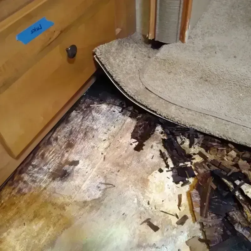 Wood Floor Water Damage in Darlington County, SC